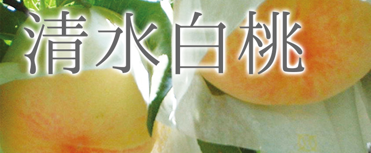 清水白桃