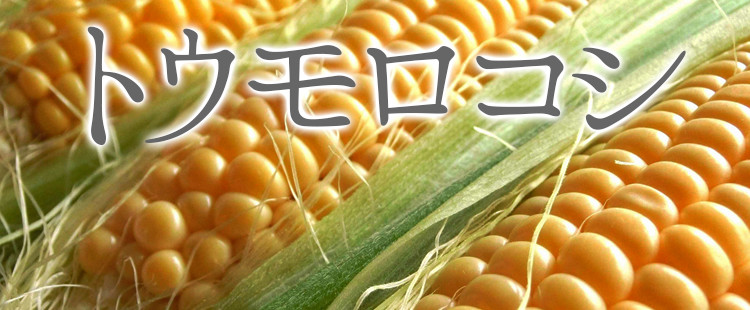 トウモロコシ