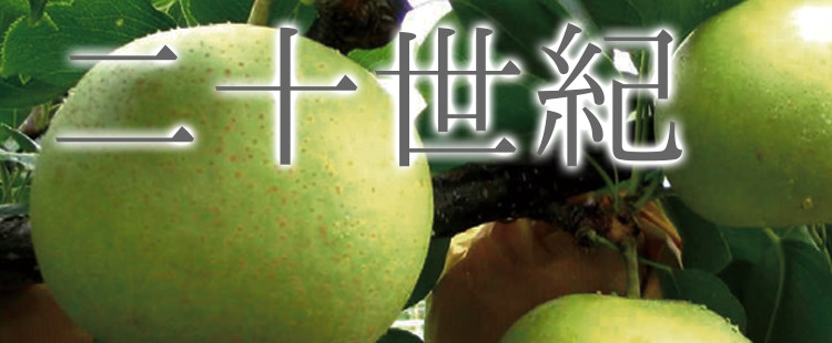 二十世紀梨