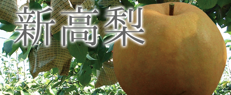 新高梨