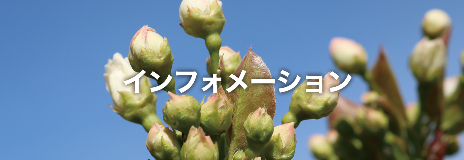 収穫カレンダー